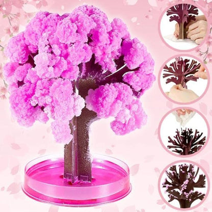 Magic Cherry Blossom Tree